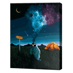 Cosmonaut la camping, 40x50cm, pictură pe numere