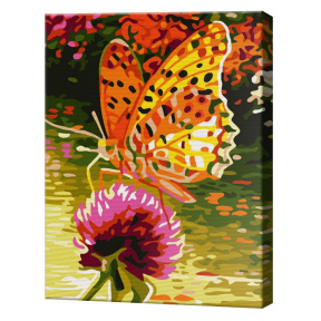 Fluture frumos pe o floare 20x30 cm, pictură pe numere