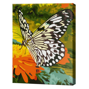 Fluture în grădină, 20x30 cm, pictură pe numere