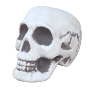 Хэллоуин Атрибутика. Пластиковый череп, 18 см