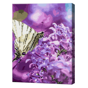 Fluture pe liliac, 40х50 cm, pictură pe numere