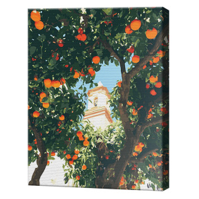 Апельсиновые деревья, 40x50 см, картина по номерам