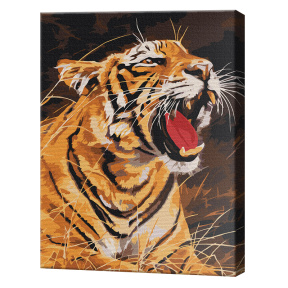 Рычание тигра, 30x40 см, картина по номерам