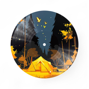 Sub cer nocturn, d=30 cm, vinil pe numere